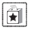 Government icon