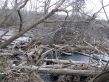 Large trees and 10,000 tons of eroded soil contributed to a serious logjam in Transylvania County in 2010. The accumulation of sedimentation problems widened the French Broad River from its average 100-foot width to 250 feet and took two years to repair. Photo Courtesy of the Transylvania County Soil & Water Conservation District and the Natural Resources Conservation District.