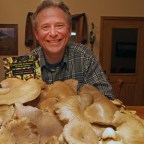 Reader photo of an oyster mushroom forage